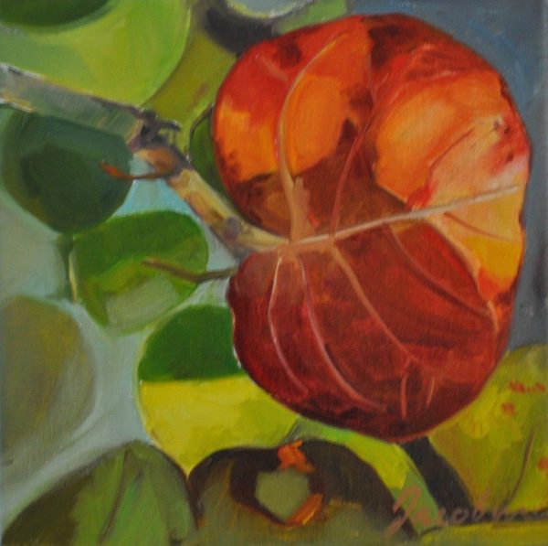 Sea Grapes in Spring